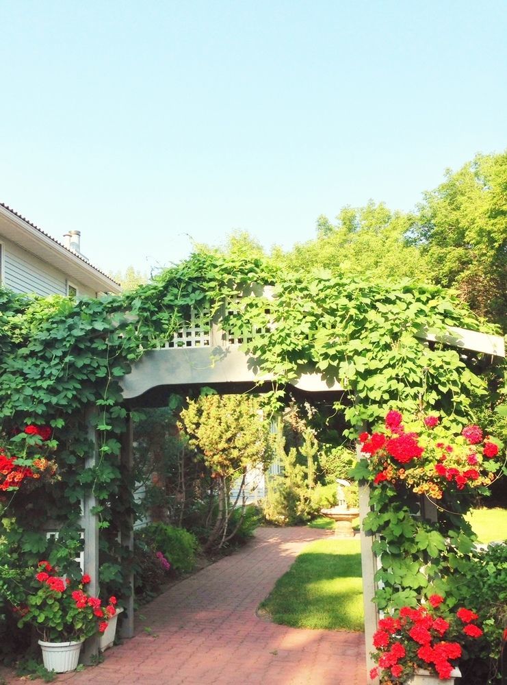 Mcdougall Lane Bed & Breakfast Drumheller Zewnętrze zdjęcie
